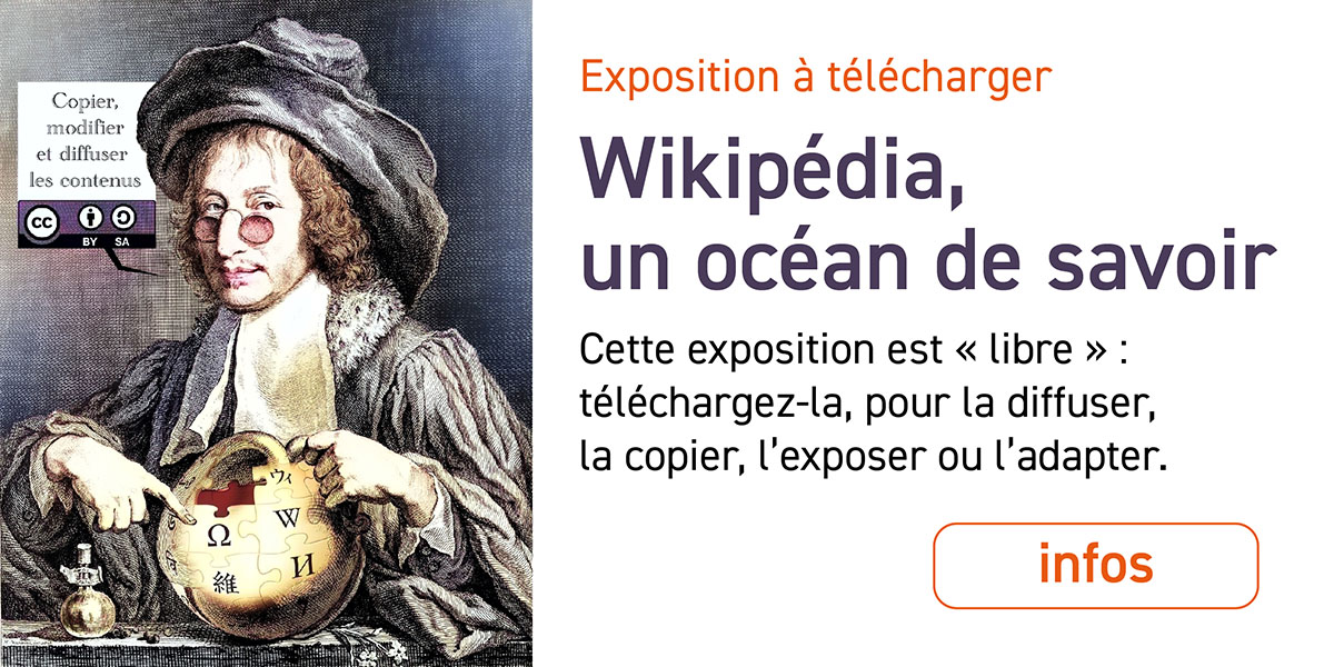 wikipedia un ocean de savoir